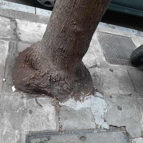 Φωτογραφία 4